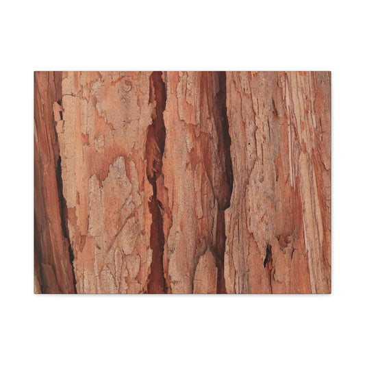 Bark Layers of Time - Unique Frameless Canvas Wall Art - Art By Earth