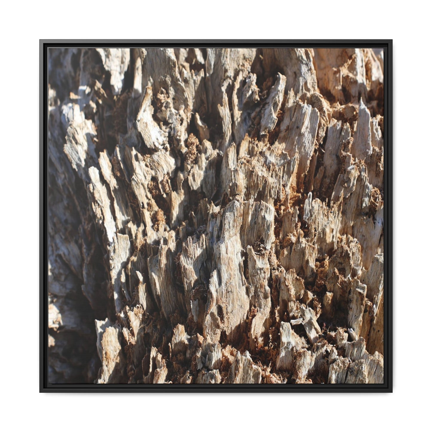 Fractal Fragments - Unique Stretched Canvas Wall Art