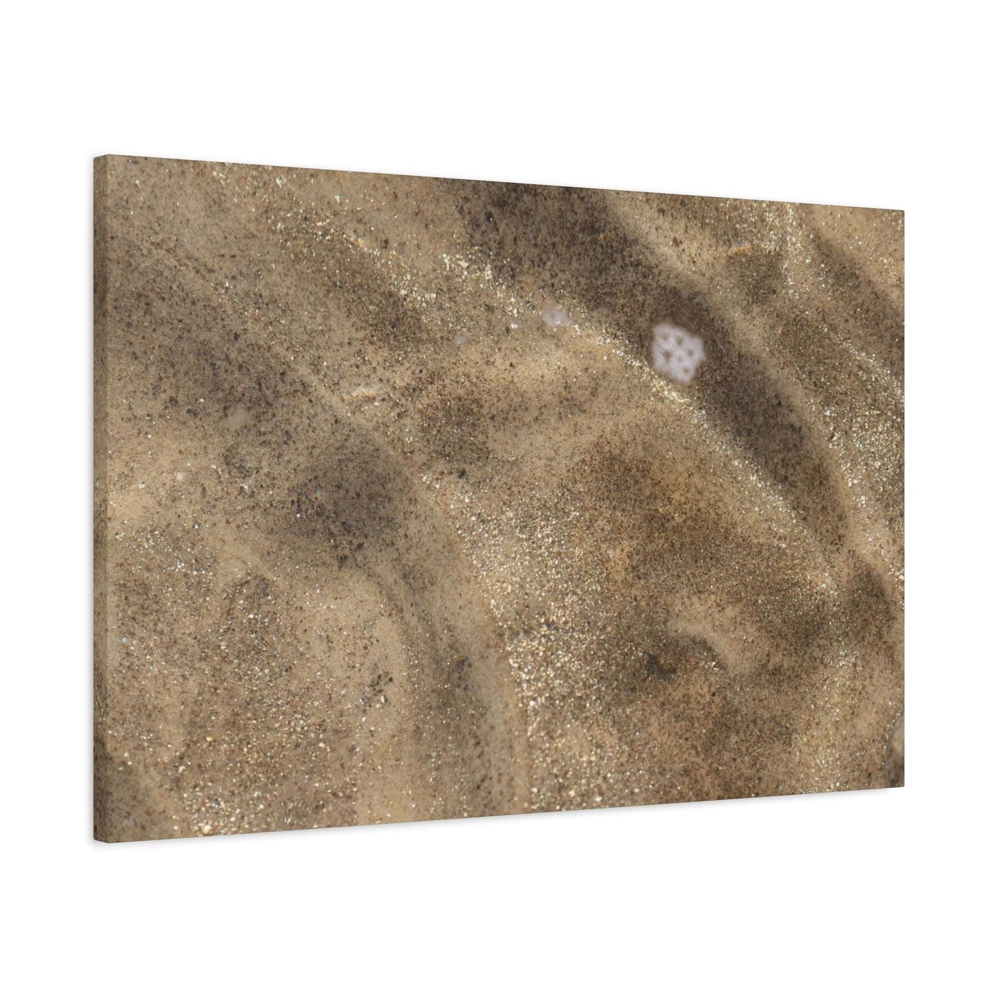Sandy Shore Impressions - Unique Frameless Canvas Wall Art - Art By Earth