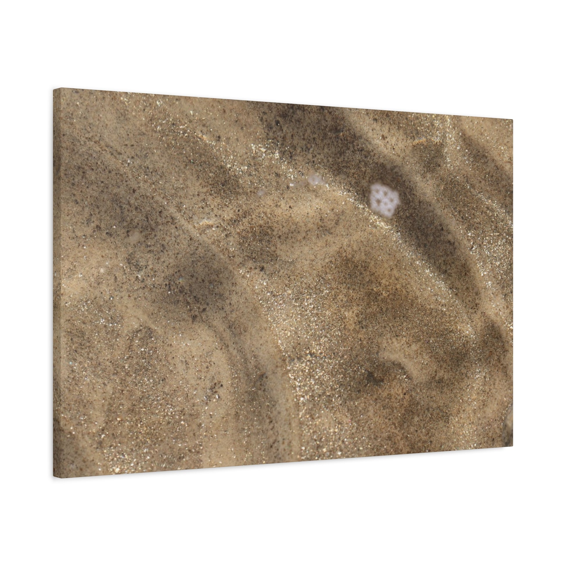 Sandy Shore Impressions - Unique Frameless Canvas Wall Art - Art By Earth