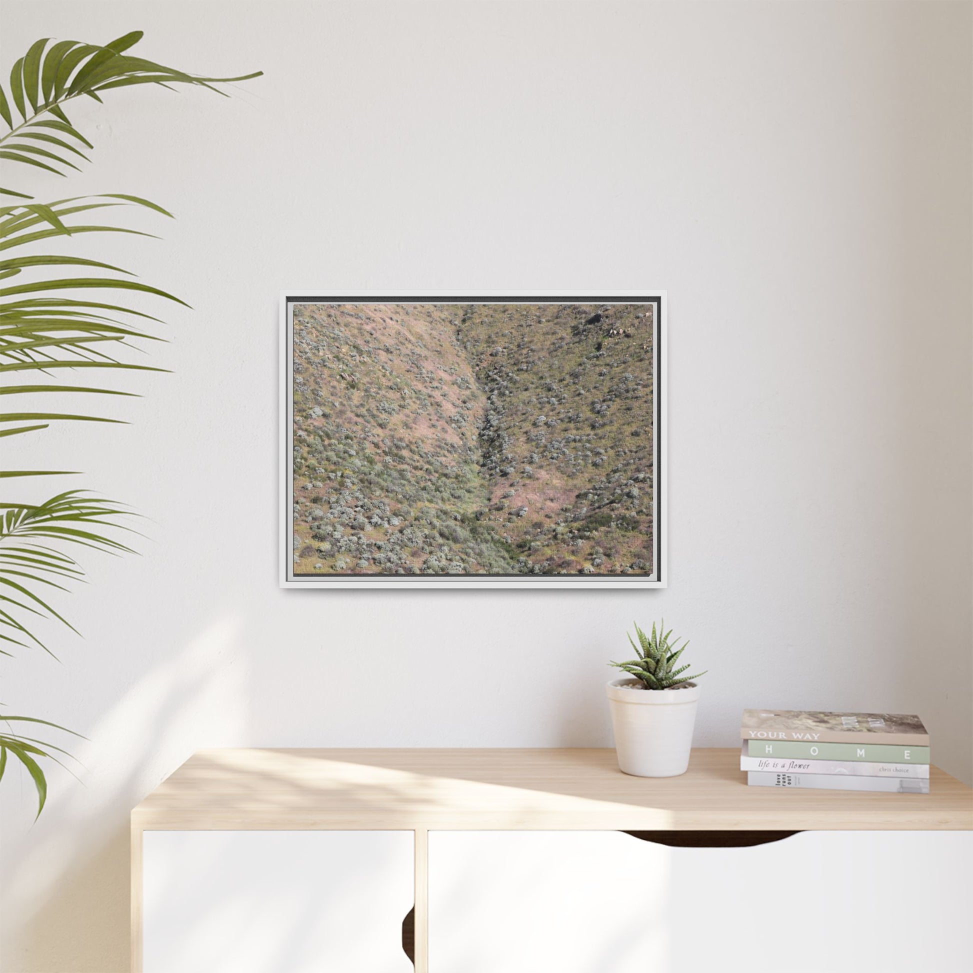 Mountain Slope with Desert Vegetation - Unique Stretched Canvas Wall Art - Art By Earth