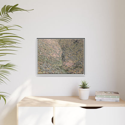 Mountain Slope with Desert Vegetation - Unique Stretched Canvas Wall Art - Art By Earth