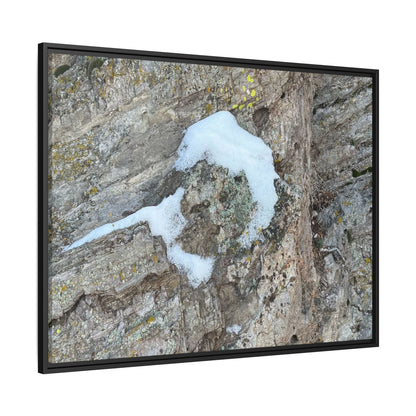 Lichen's Embrace - Unique Stretched Canvas Wall Art