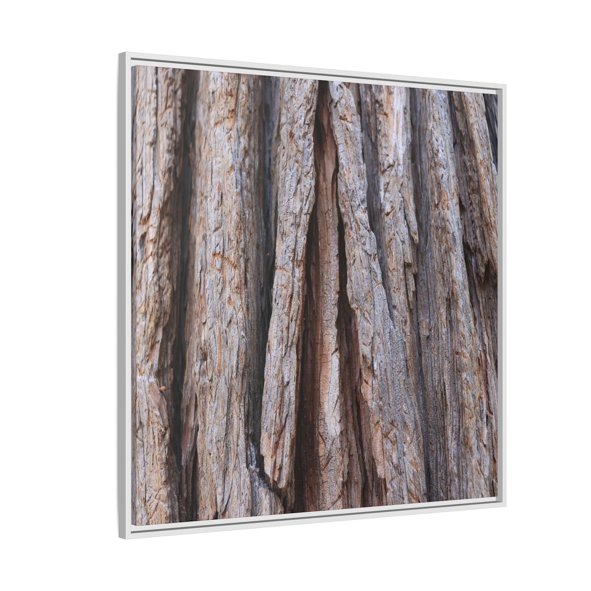 Nature's Sculpture - Unique Stretched Canvas Wall Art - Art By Earth