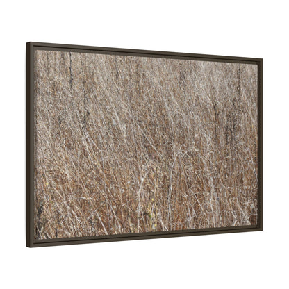 Dry Grass Symphony - Unique Stretched Canvas Wall Art - Art By Earth