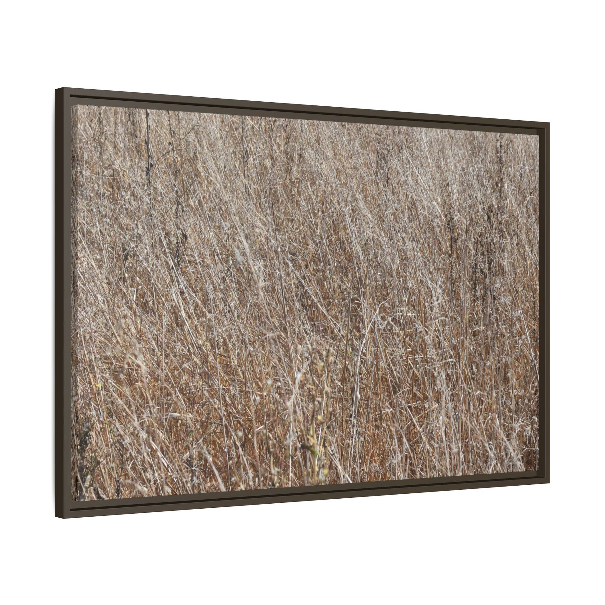 Whispers of Autumn - Unique Stretched Canvas Wall Art - Art By Earth
