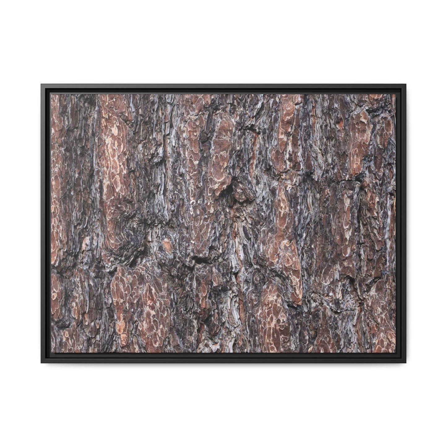 Echoes of Wood - Unique Stretched Canvas Wall Art