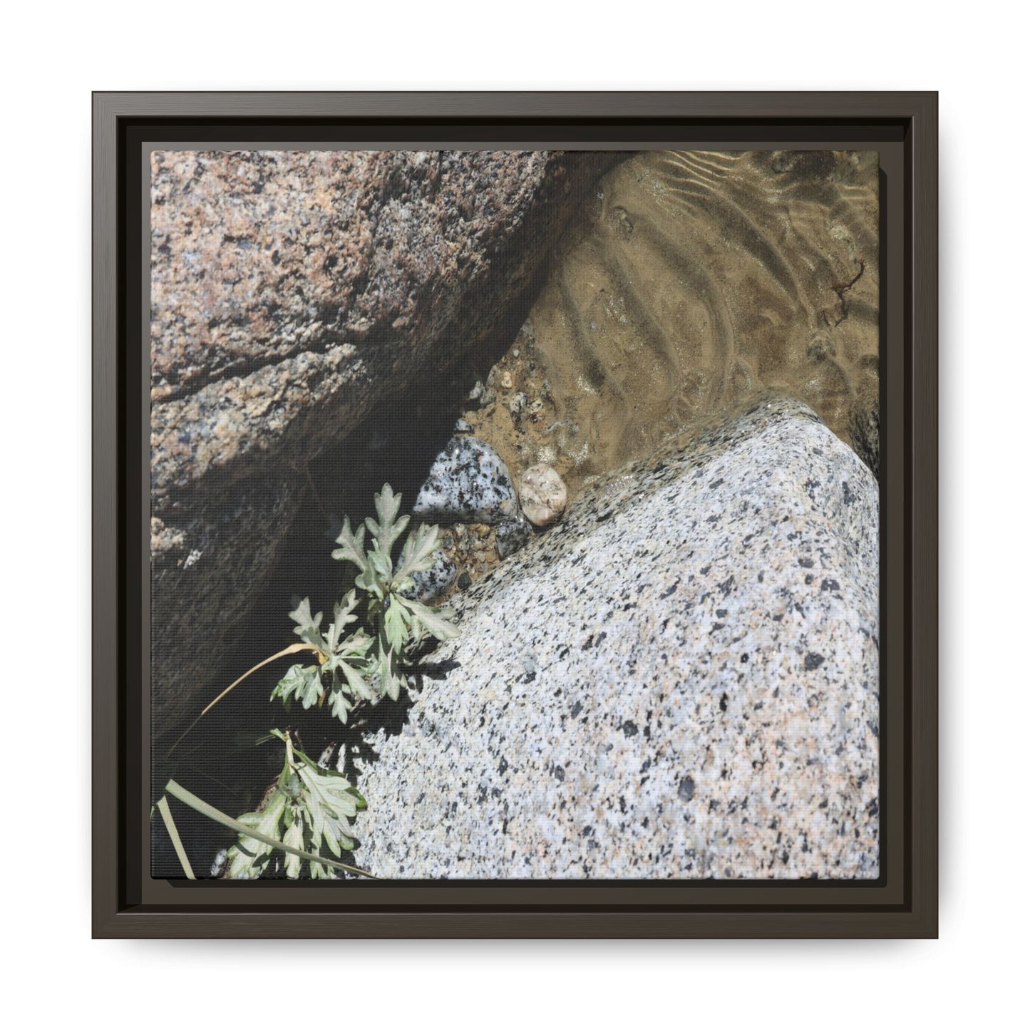 Resilience in Stone - Unique Stretched Canvas Wall Art - Art By Earth