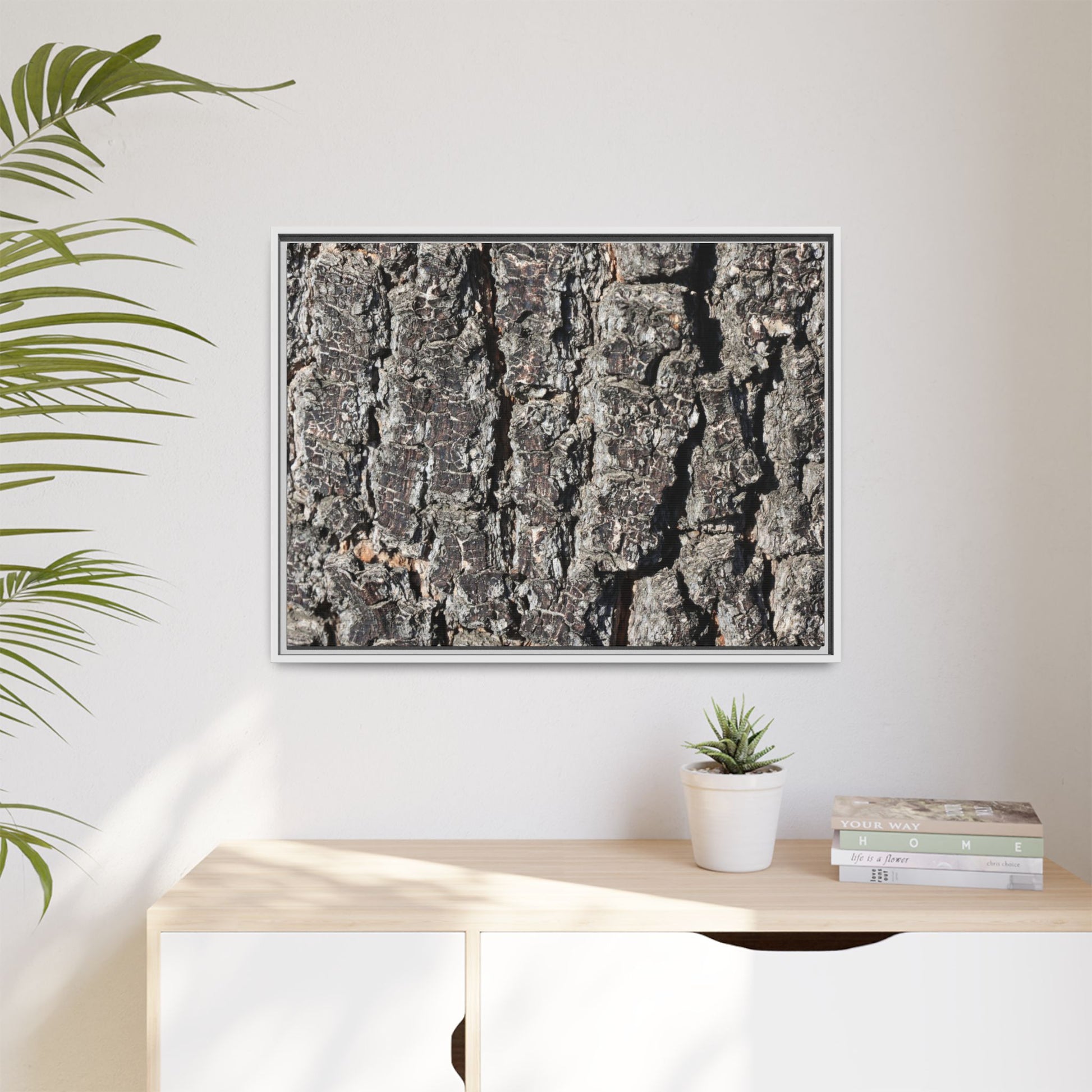 Bark Study in Gray - Unique Stretched Canvas Wall Art - Art By Earth