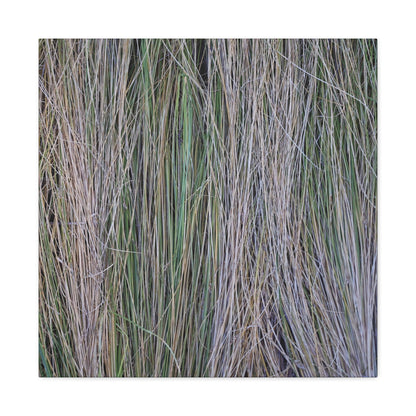 Whispers of Grass - Unique Frameless Canvas Wall Art - Art By Earth