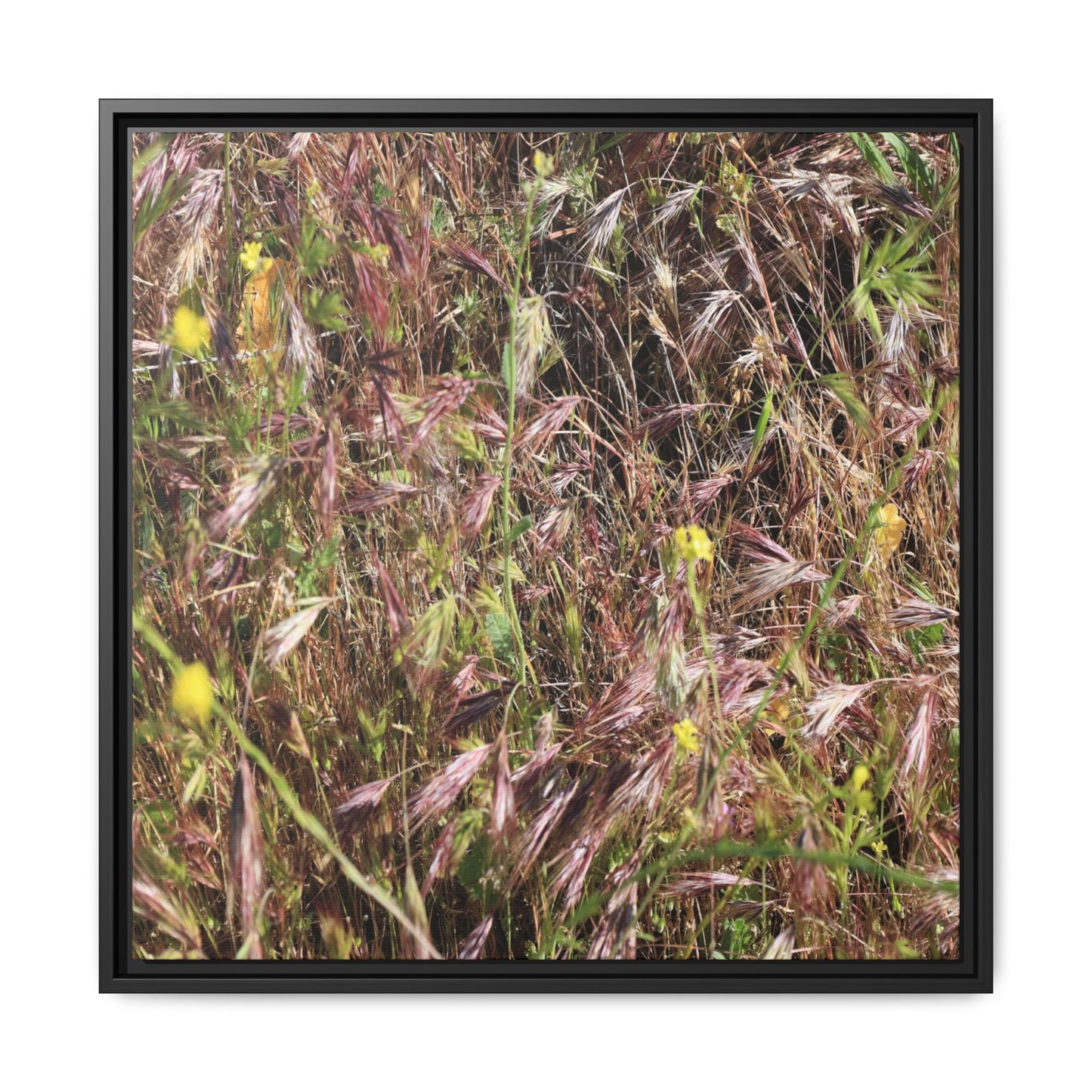 Autumn Meadow - Unique Stretched Canvas Wall Art - Art By Earth