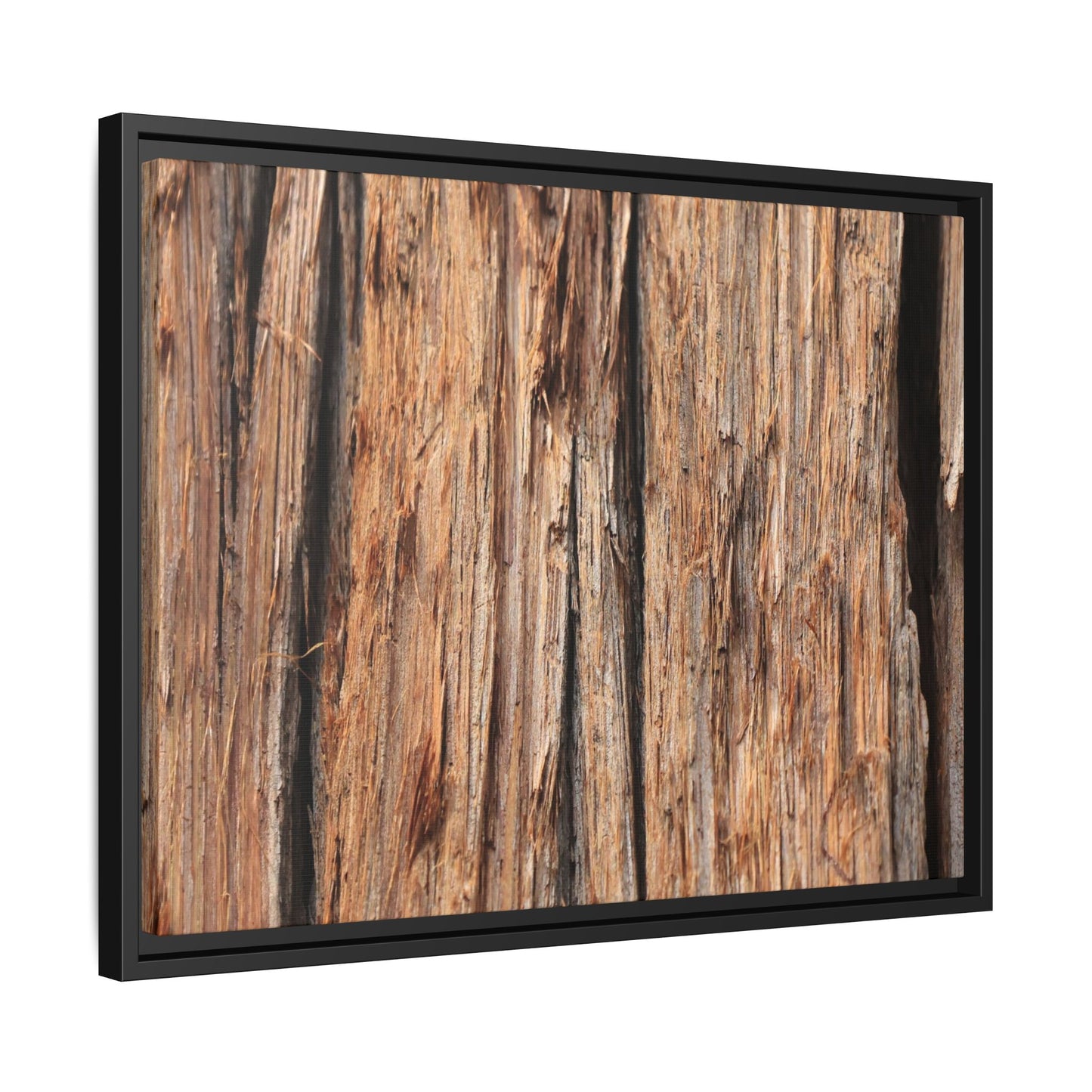 Timber Echoes - Unique Stretched Canvas Wall Art - Art By Earth