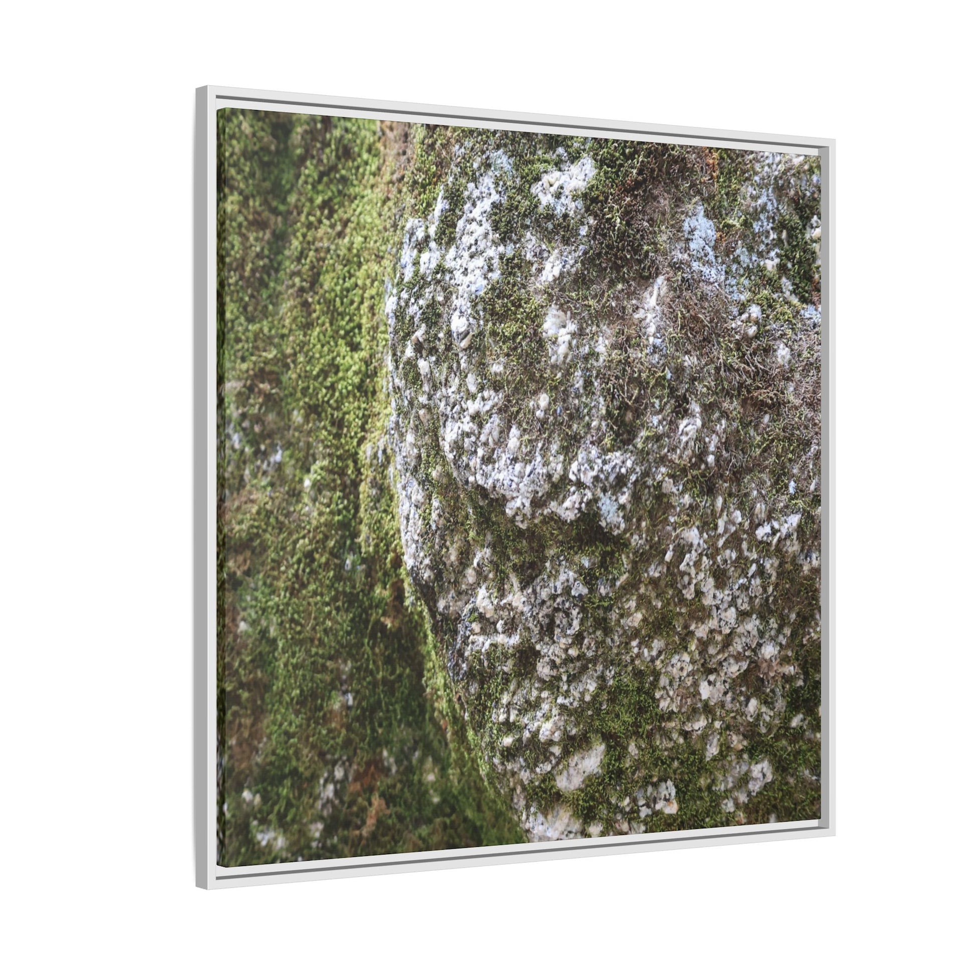 Lichen Landscape - Unique Stretched Canvas Wall Art - Art By Earth