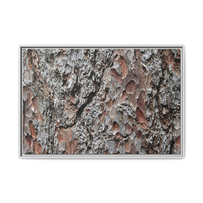 Bark Texture Symphony - Unique Stretched Canvas Wall Art - Art By Earth