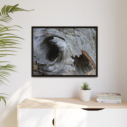 Bark's Labyrinth - Unique Stretched Canvas Wall Art - Art By Earth