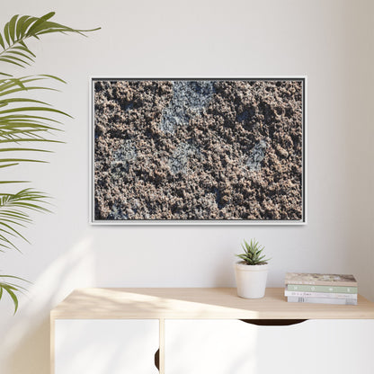 Natural Ground - Unique Stretched Canvas Wall Art