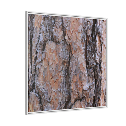 Tree Skin Symphony - Unique Stretched Canvas Wall Art - Art By Earth