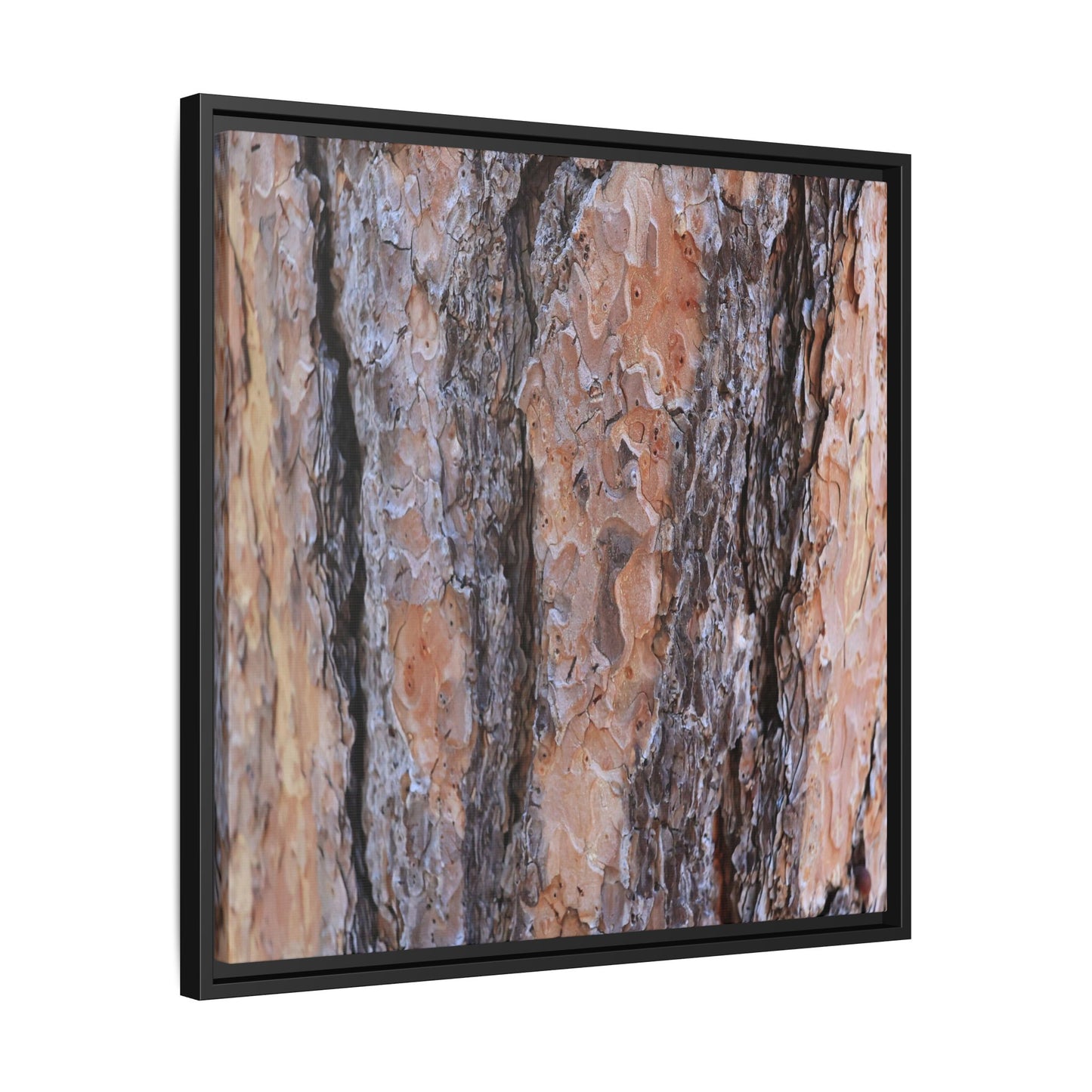 Earthy Embrace - Unique Stretched Canvas Wall Art - Art By Earth