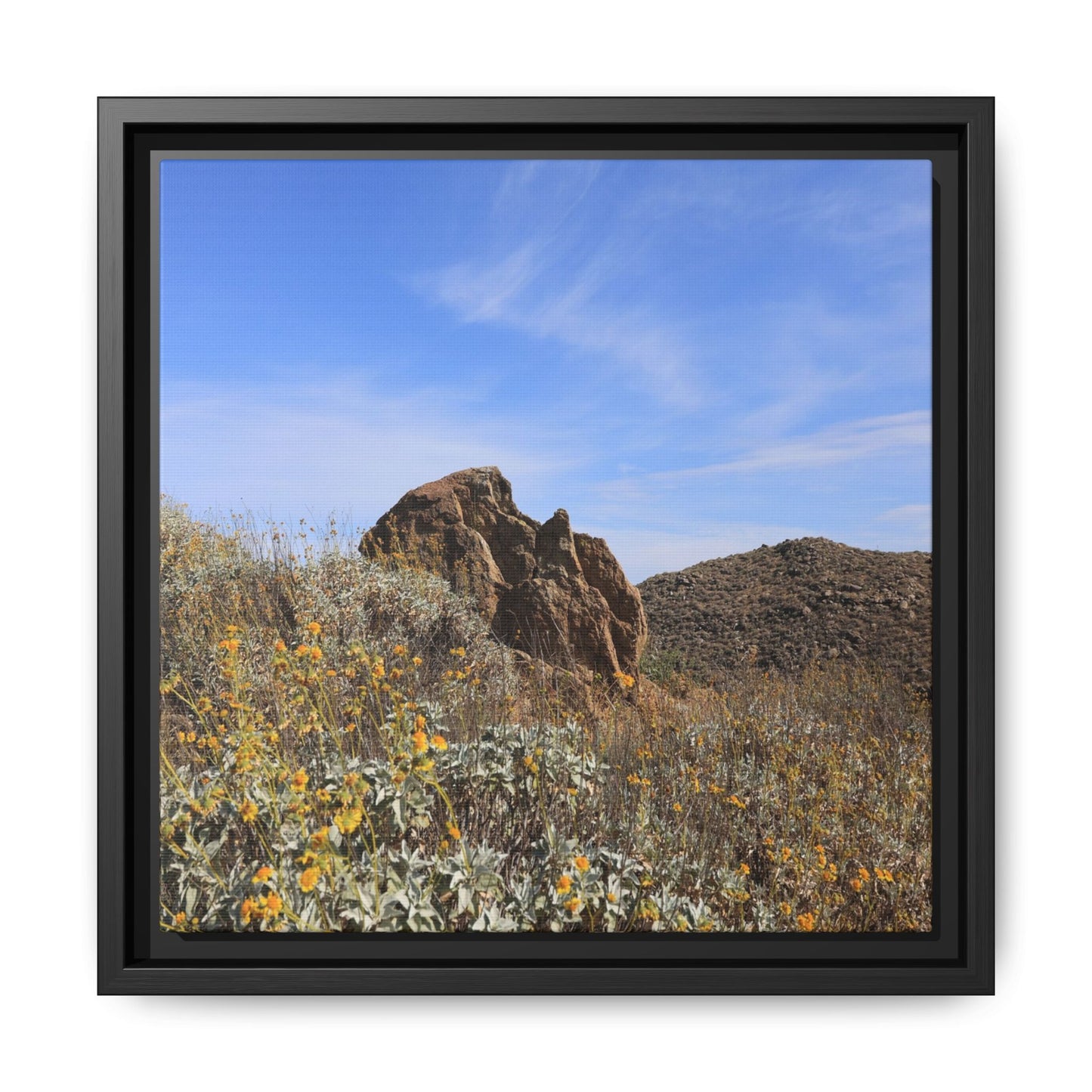 Golden Flowers in Arid Landscape - Unique Stretched Canvas Wall Art - Art By Earth