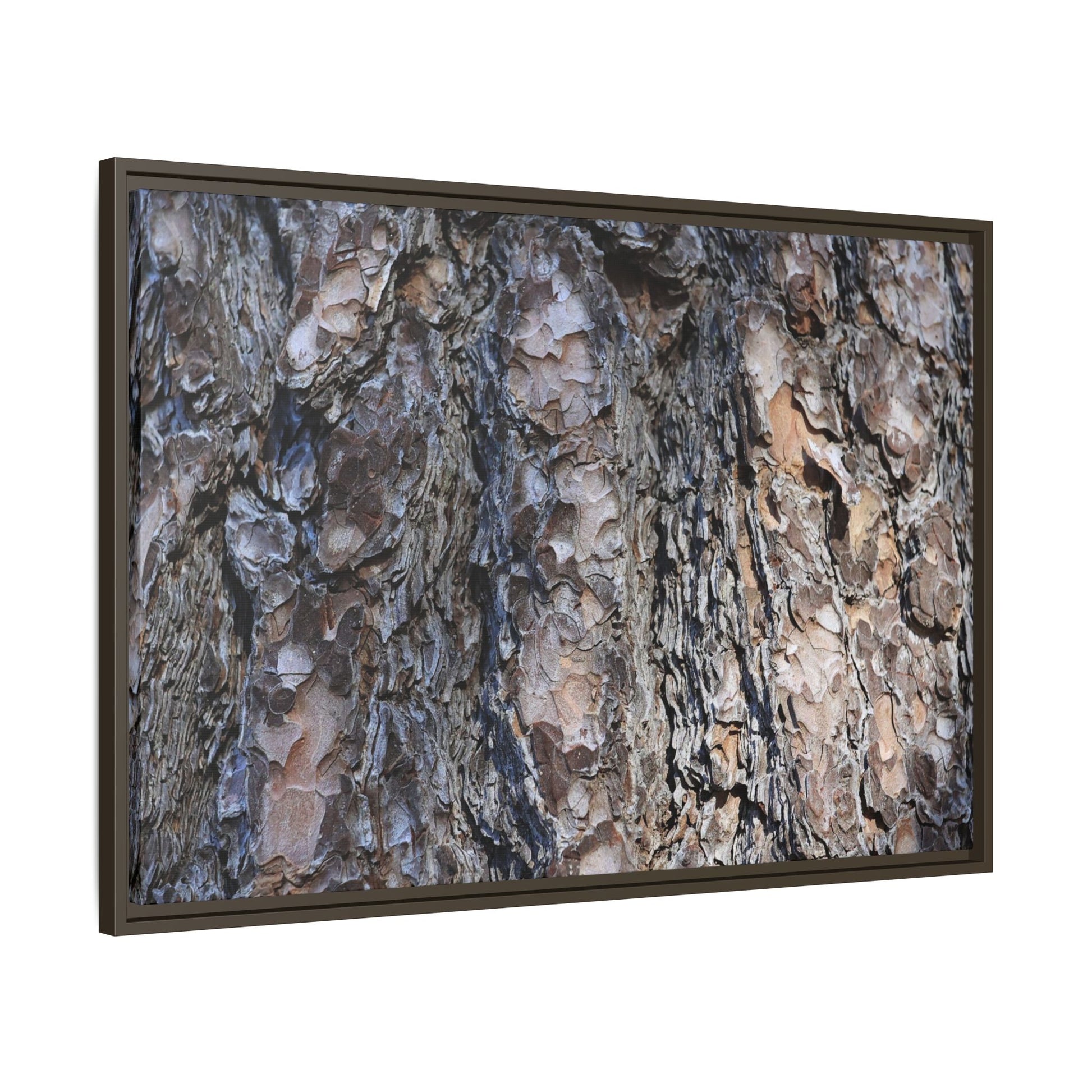 Weathered Patterns - Unique Stretched Canvas Wall Art - Art By Earth