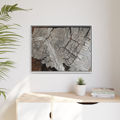 Time's Signature - Unique Stretched Canvas Wall Art - Art By Earth