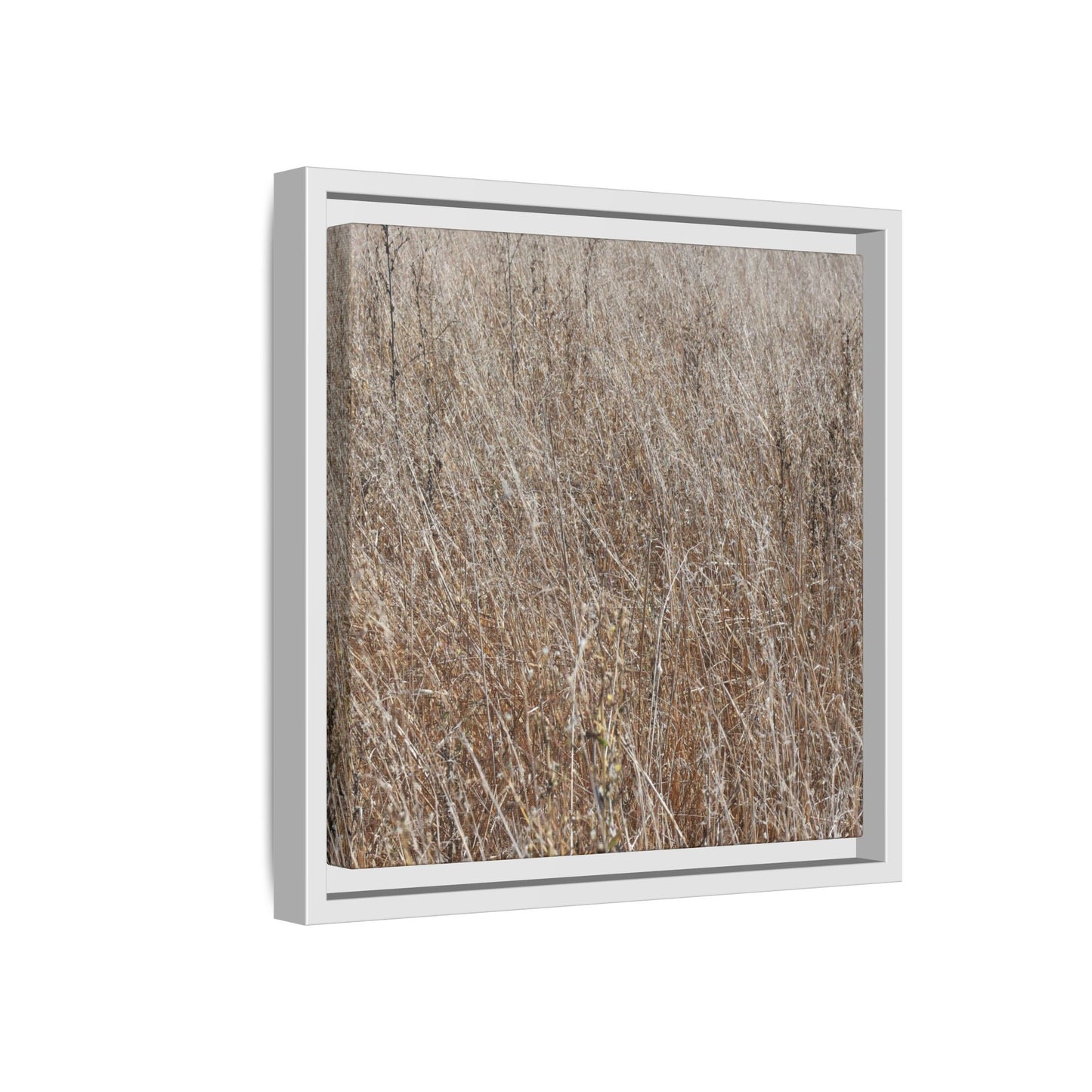 Dry Grass Symphony - Unique Stretched Canvas Wall Art - Art By Earth