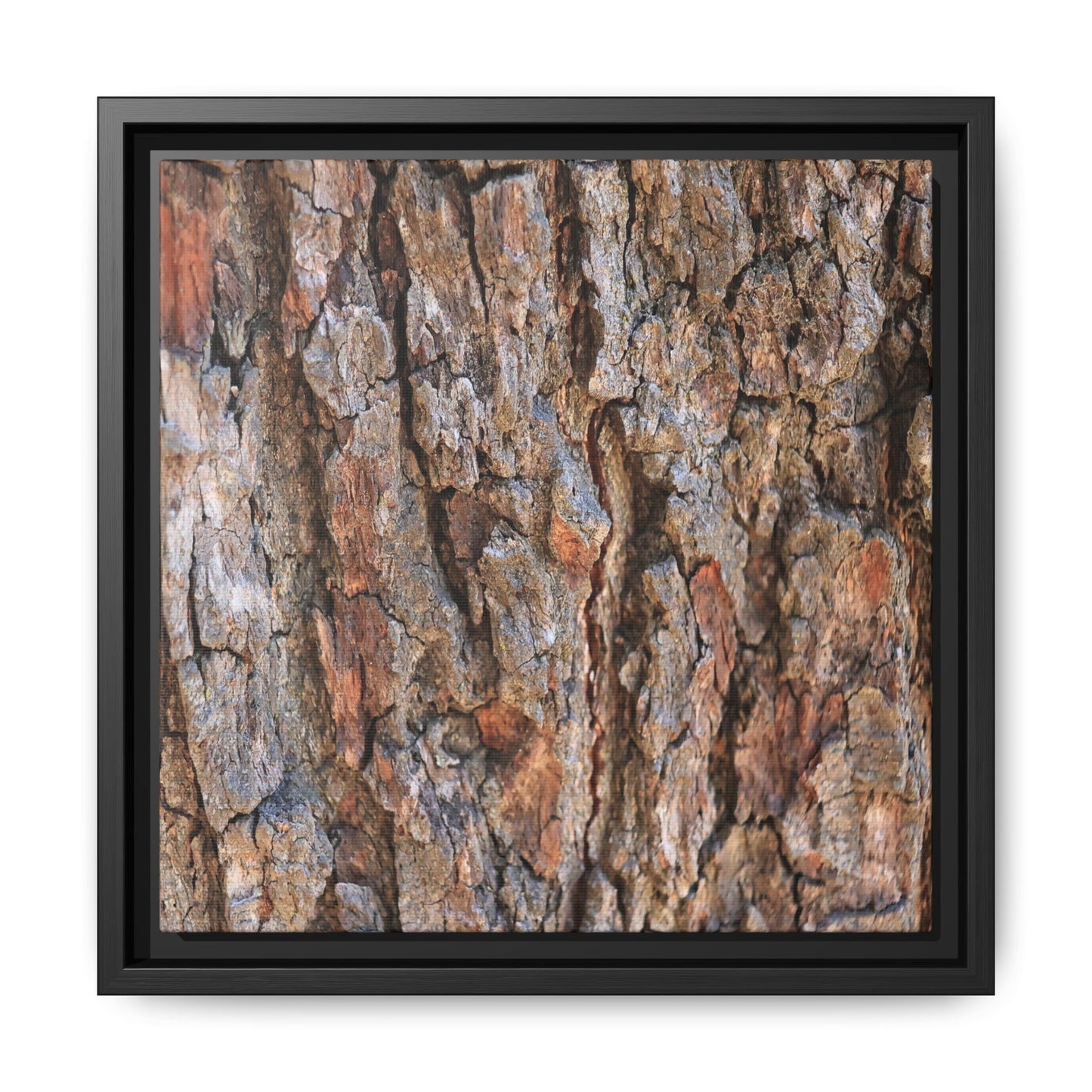 Tree's Timeworn Tale - Unique Stretched Canvas Wall Art - Art By Earth