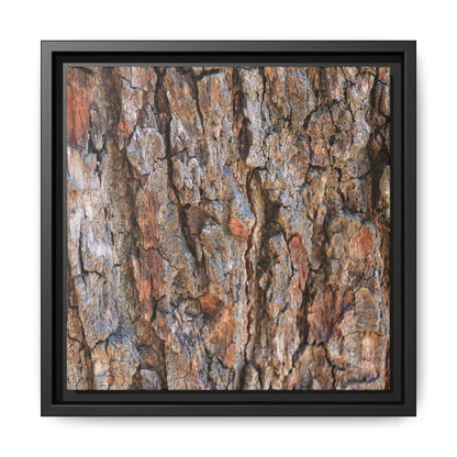 Tree's Timeworn Tale - Unique Stretched Canvas Wall Art - Art By Earth