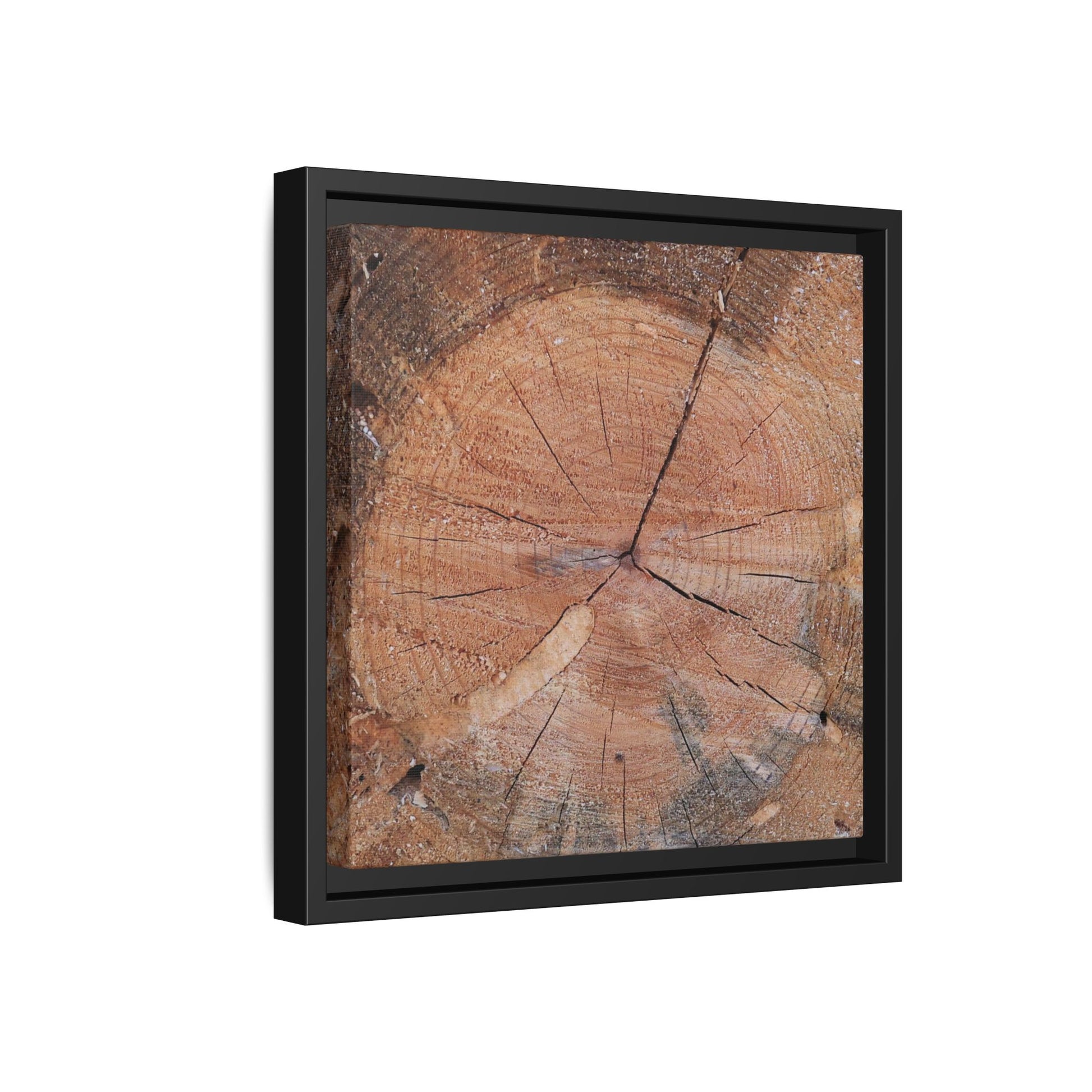 Concentric Memories - Unique Stretched Canvas Wall Art - Art By Earth