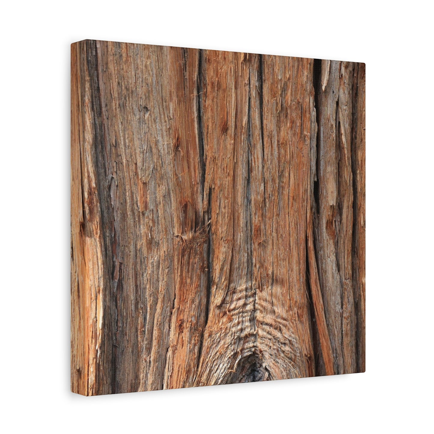 Bark's Ancient Whispers - Unique Frameless Canvas Wall Art - Art By Earth