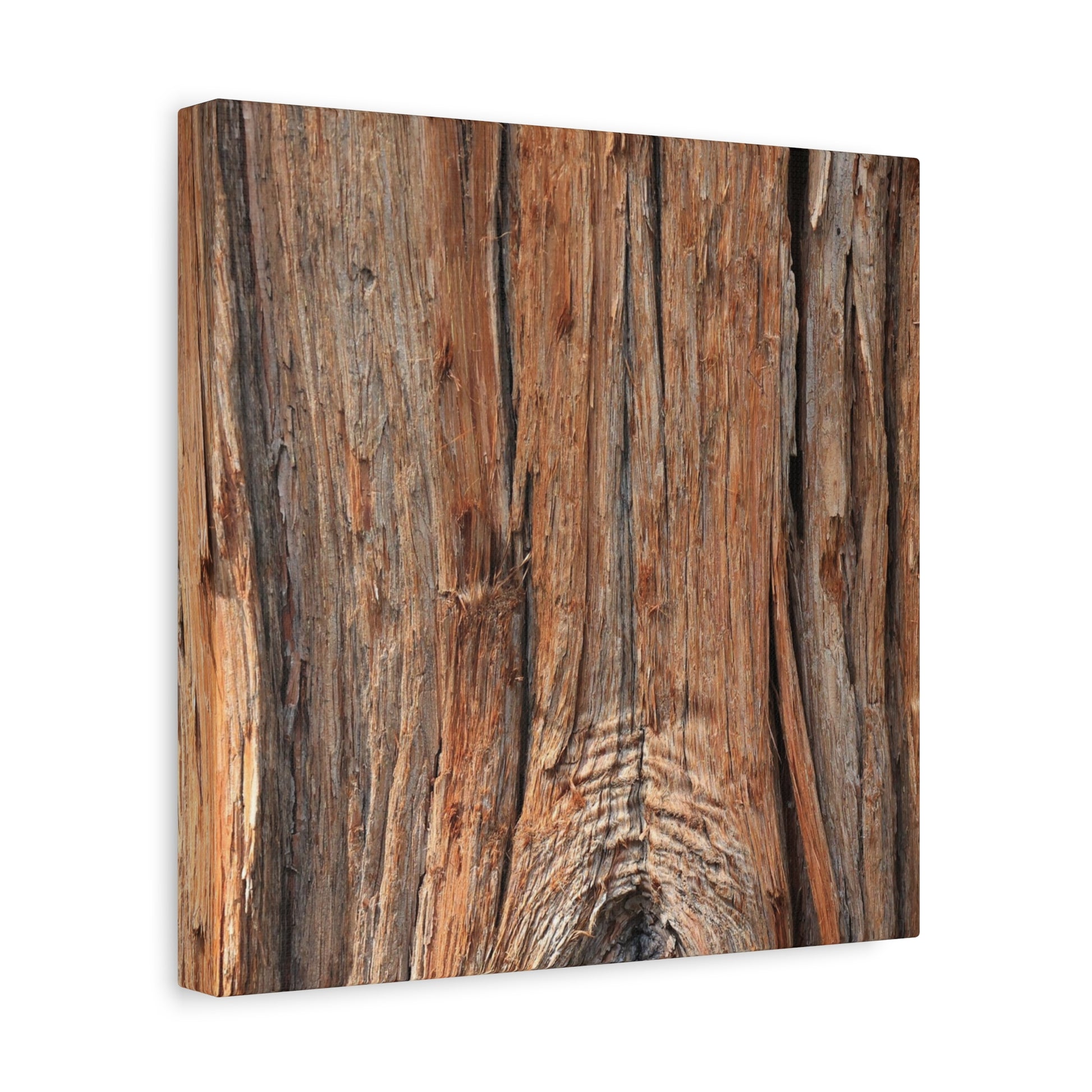 Bark's Ancient Whispers - Unique Frameless Canvas Wall Art - Art By Earth