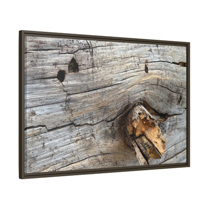 Weathered Wood Texture - Unique Stretched Canvas Wall Art - Art By Earth