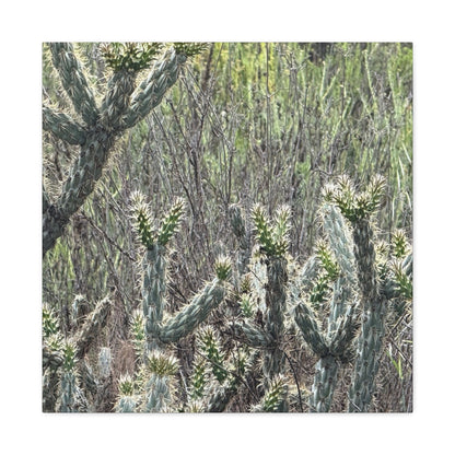 Spiny Sentinels - Unique Frameless Canvas Wall Art - Art By Earth