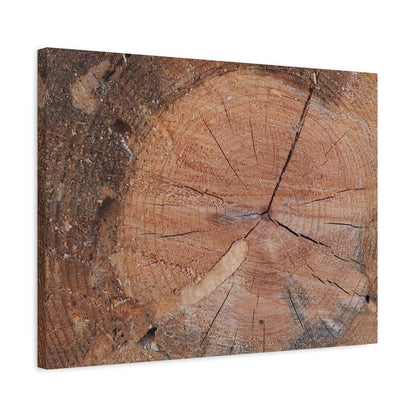 Timber Tale - Unique Frameless Canvas Wall Art - Art By Earth