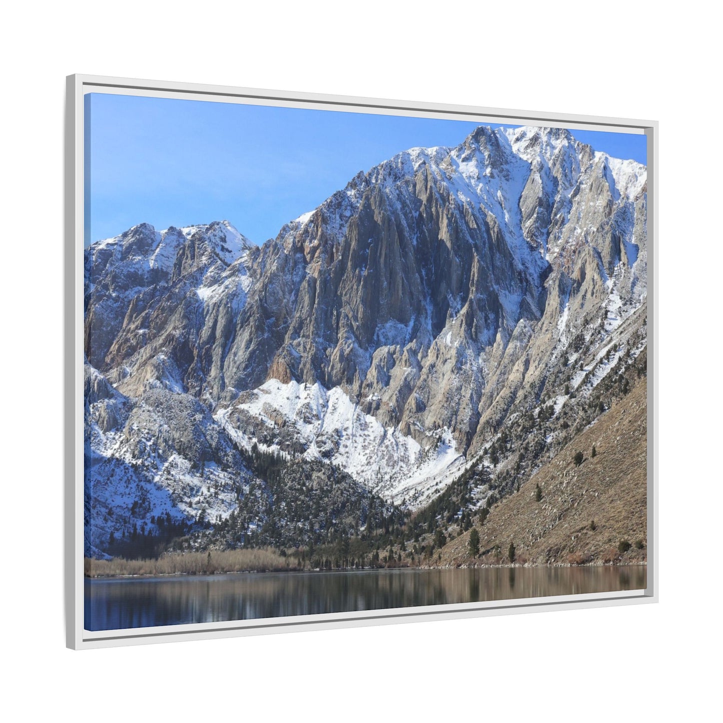Frozen Reflection - Unique Stretched Canvas Wall Art