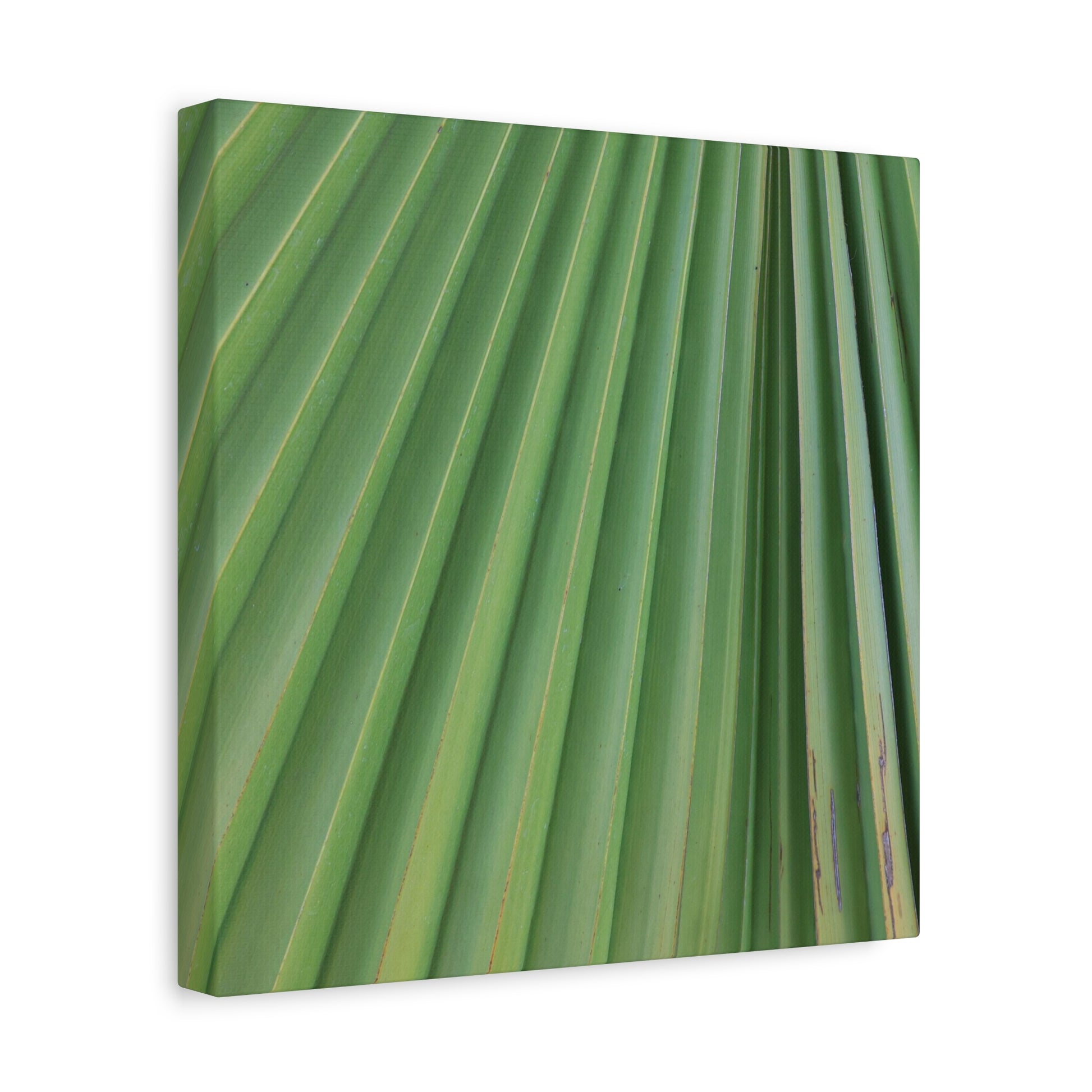 Palm Pulse - Unique Frameless Canvas Wall Art - Art By Earth