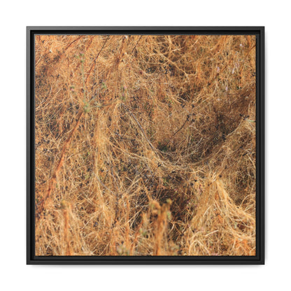 Dried Vegetation Study - Unique Stretched Canvas Wall Art - Art By Earth