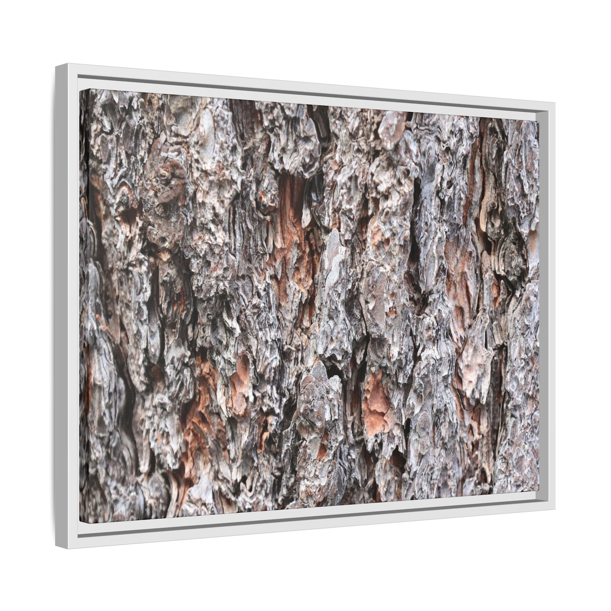 Rugged Cortex - Unique Stretched Canvas Wall Art - Art By Earth