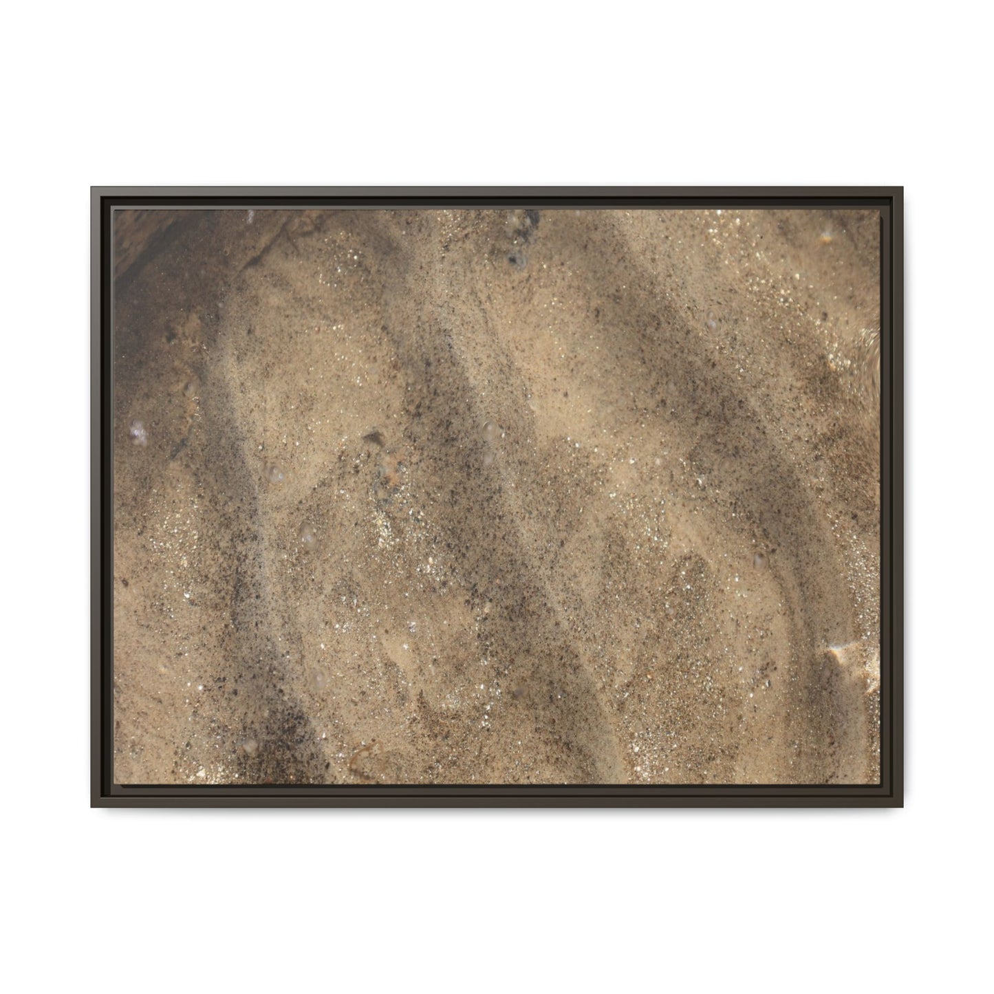 Tidal Pool Secrets - Unique Stretched Canvas Wall Art - Art By Earth