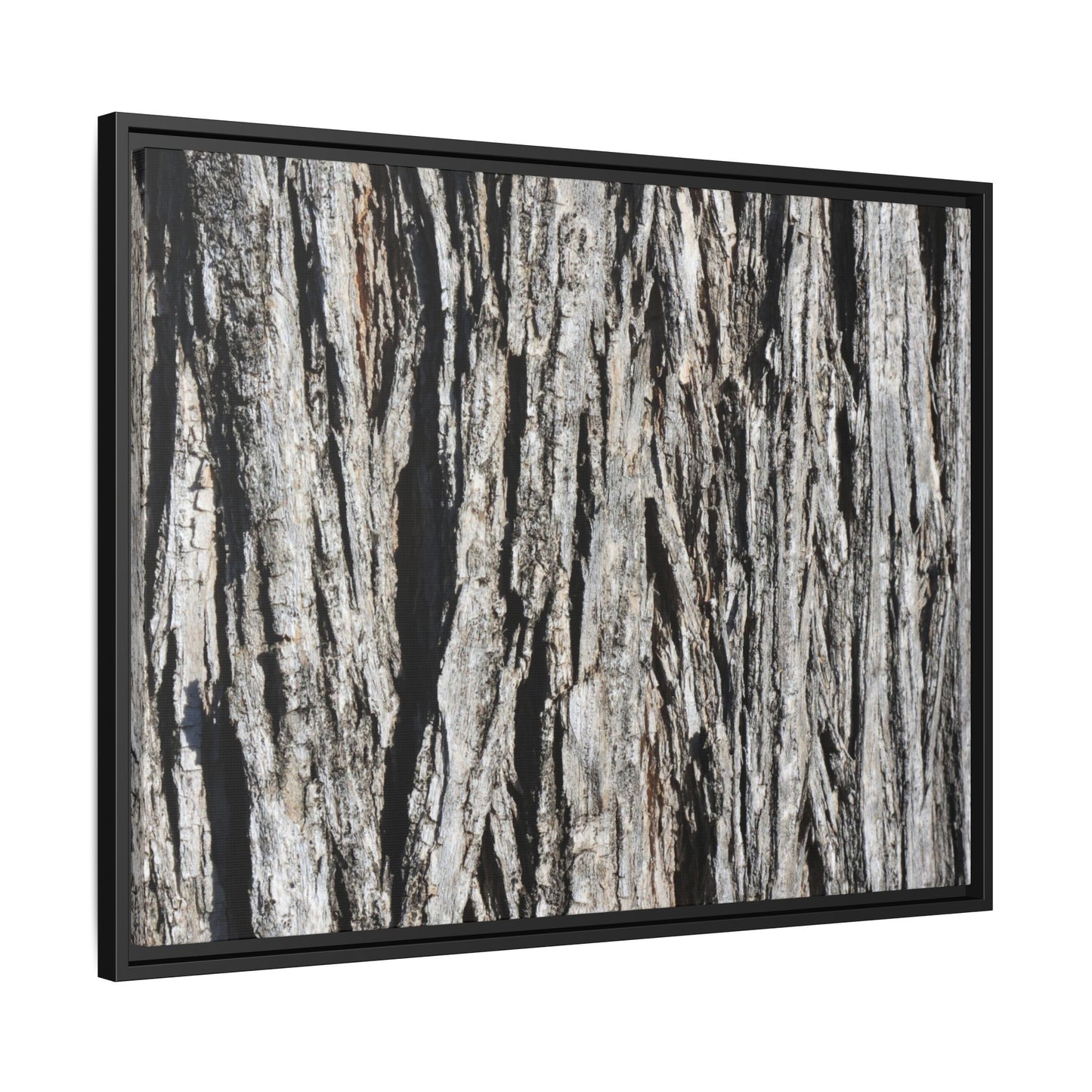 Nature's Abstract - Unique Stretched Canvas Wall Art - Art By Earth