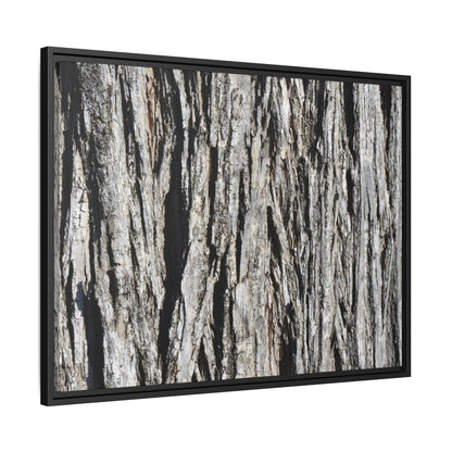 Nature's Abstract - Unique Stretched Canvas Wall Art - Art By Earth