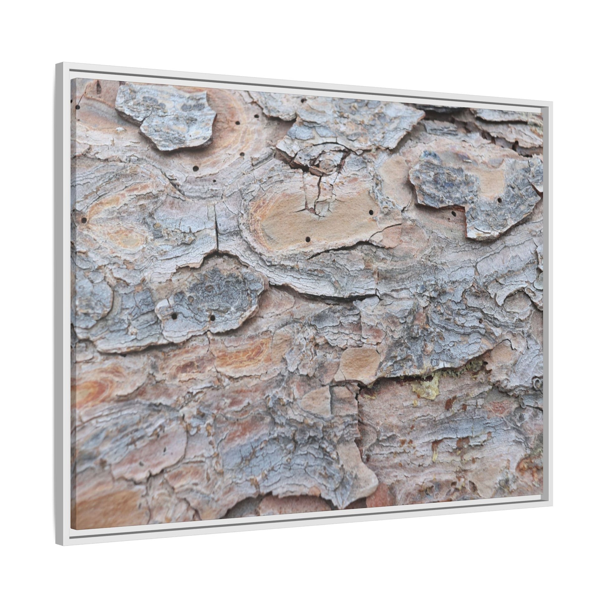 Peeling Memories - Unique Stretched Canvas Wall Art - Art By Earth