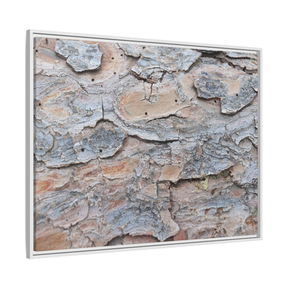 Peeling Memories - Unique Stretched Canvas Wall Art - Art By Earth