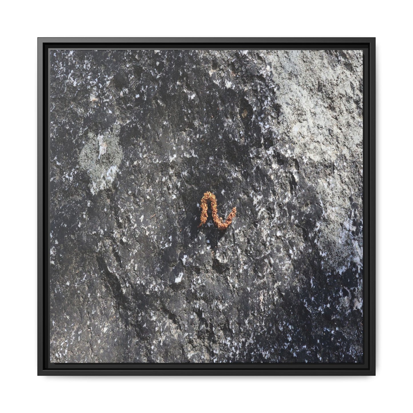 Volcanic Ash and Copper - Unique Stretched Canvas Wall Art - Art By Earth