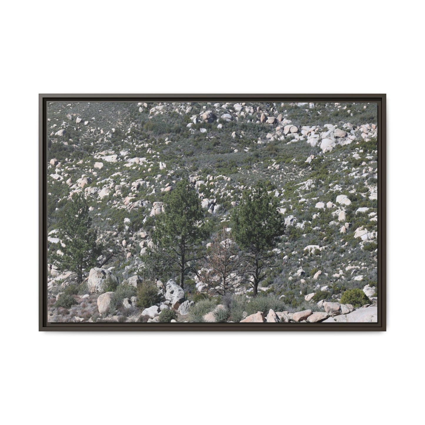 Rocky Hillside with Pine Trees - Unique Stretched Canvas Wall Art - Art By Earth