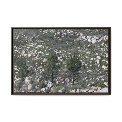Rocky Hillside with Pine Trees - Unique Stretched Canvas Wall Art - Art By Earth
