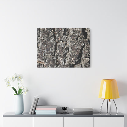 Cracked Skin of Earth - Unique Frameless Canvas Wall Art - Art By Earth
