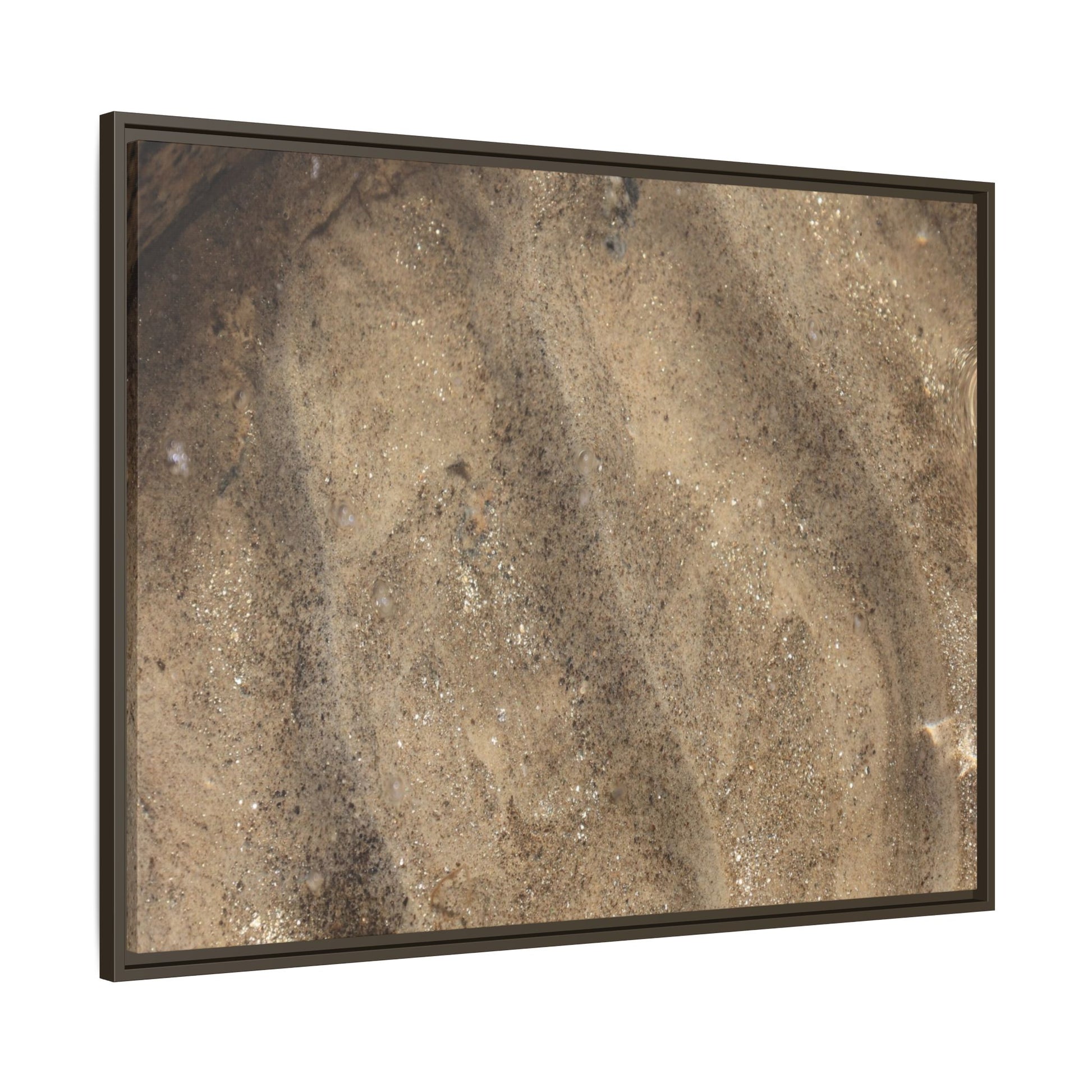 Tidal Pool Secrets - Unique Stretched Canvas Wall Art - Art By Earth
