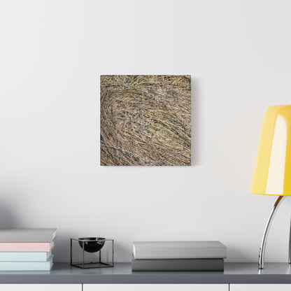 Tangled Hay - Unique Stretched Canvas Wall Art - Art By Earth
