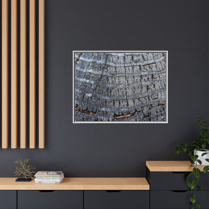 Charred Memories - Unique Stretched Canvas Wall Art - Art By Earth